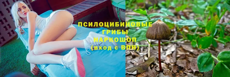 hydra сайт  Валуйки  Псилоцибиновые грибы Psilocybine cubensis  хочу наркоту 